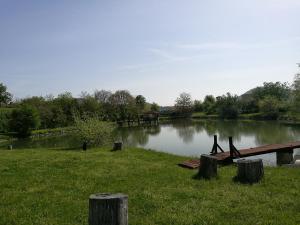 a lake with a wooden dock in the grass at Complex Ovchaga in Tschenge