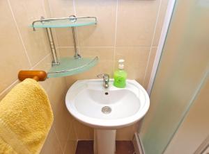 Koupelna v ubytování House Franko 1330