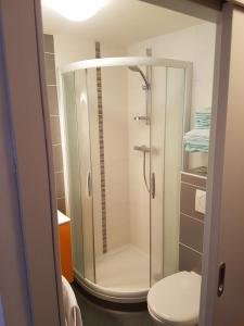 a bathroom with a shower with a toilet in it at Auberge Le Moulin Du Plain in Goumois +72 photos