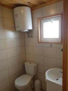 a small bathroom with a toilet and a sink at Domki Letniskowe Poranek in Jezierzany
