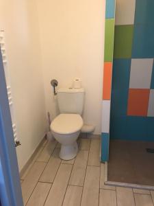 łazienka z toaletą i kolorową ścianą w obiekcie Les Studines w mieście Roanne