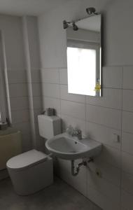 ein Badezimmer mit einem Waschbecken, einem WC und einem Spiegel in der Unterkunft BS Ferienhaus Nord in Lagesbüttel