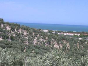 a view of a hill with trees and the ocean at B&B Villa Makkalè in Vieste