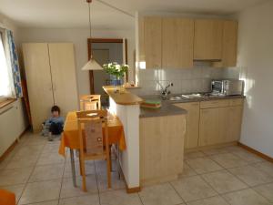 Kuchyň nebo kuchyňský kout v ubytování Haus Abendberg