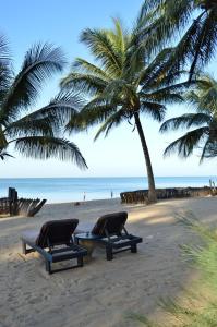 2 Liegestühle und eine Palme am Strand in der Unterkunft Tama Lodge in M'bour