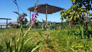 Vrt pred nastanitvijo Ferma Jebala Ecolodge