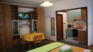 Kuchyňa alebo kuchynka v ubytovaní Apartments Ines Komel