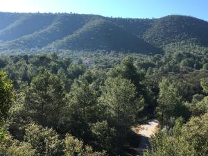 Príroda v okolí hotela