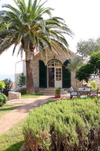 a palm tree in front of a house with two benches at Villa St Roko - Charme Homes in Sutivan