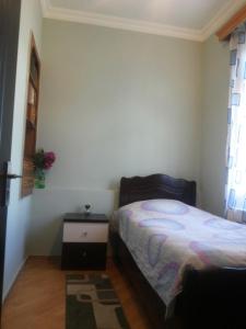 Postel nebo postele na pokoji v ubytování Guesthouse Zeinabi