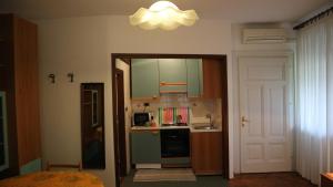 Kuchyňa alebo kuchynka v ubytovaní Apartments Ines Komel