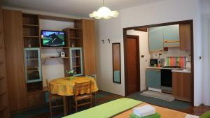 Kuchyňa alebo kuchynka v ubytovaní Apartments Ines Komel