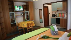 Kuchyňa alebo kuchynka v ubytovaní Apartments Ines Komel