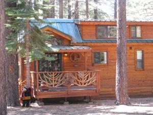 a cabin in the woods with a tree at Cedar Pines Resort in South Lake Tahoe