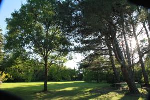 Galeriebild der Unterkunft Mas la Provence in LʼIsle-sur-la-Sorgue