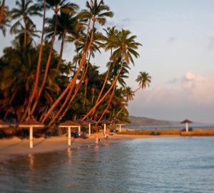 a beach with palm trees and the ocean and water at The Warwick Fiji in Korolevu