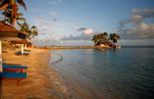a beach with palm trees and a house and the water at The Warwick Fiji in Korolevu