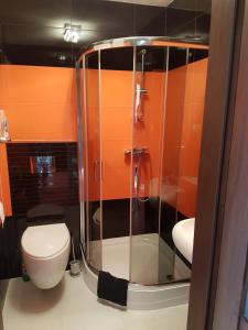 コウォブジェクにあるSamodzielny APARTAMENT 2pokojowyのバスルーム(トイレ、ガラス張りのシャワー付)