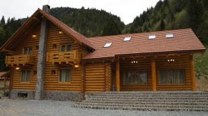 eine Blockhütte mit einer Treppe davor in der Unterkunft Pensiunea Izbucul Tauz in Gheţari