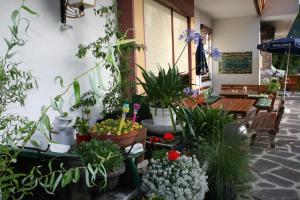 Zahrada ubytování Pension Stöcklmühl