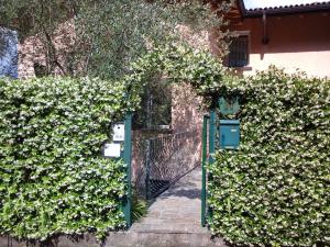 Zahrada ubytování B&B L'erica