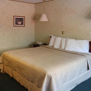 Postel nebo postele na pokoji v ubytování Georgetown Mountain Inn