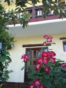 Zahrada ubytování Hotel Polydrosos