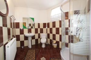 La salle de bains est pourvue d'un lavabo, de toilettes et d'une douche. dans l'établissement Pension Bud, à Onceşti