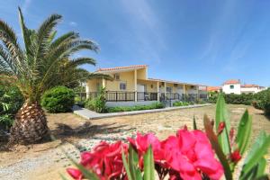 a house with a palm tree and flowers at Studios Anastasia in Néa Koútali