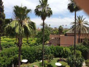 vistas a un jardín con palmeras y a un edificio en Chems Hotel en Marrakech
