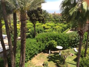a lush green field with palm trees and palm trees at Chems Hotel in Marrakesh