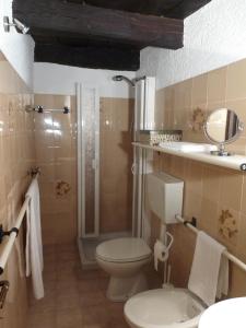 a bathroom with a toilet and a shower at Apartments Cusius and Horta in Orta San Giulio +31 photos