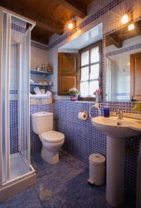 a bathroom with a toilet and a sink and a shower at Casa Rural La Cuesta in Villarmil