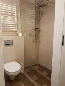 een badkamer met een toilet en een glazen douche bij Dom Wakacyjny na Sielskiej in Olsztyn