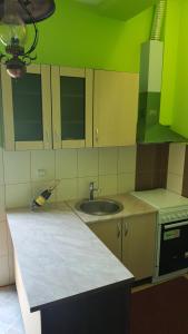una cocina con armarios verdes y amarillos y fregadero en Apartment Roxana en Novi Sad