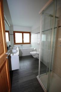 ein Bad mit einer Dusche, einem Waschbecken und einem WC in der Unterkunft Chalet Sunnäschyn in Clavadel