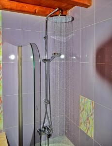 a shower with a glass door with a shower head at Bella's House in Évora +62 photos
