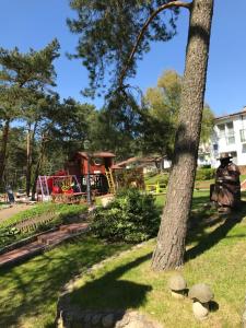 a park with a playground and a tree at Ameba Resort in Mielno