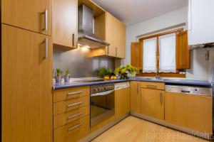 Kuchnia lub aneks kuchenny w obiekcie The Estafeta View Apartment