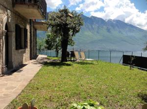 a house with a tree and chairs on the grass at Casa Bine in Tremosine Sul Garda