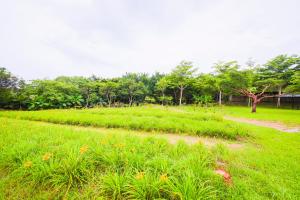 un campo de césped verde con árboles en el fondo en Kiln B&B en Fuli