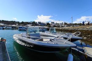 Fotografie z fotogalerie ubytování Vikran Vacation: Sea fishing and Northern Lights v destinaci Vikran