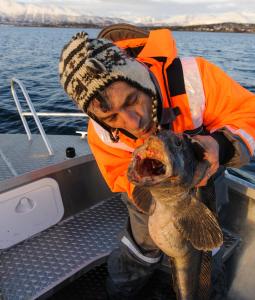Fotografie z fotogalerie ubytování Vikran Vacation: Sea fishing and Northern Lights v destinaci Vikran