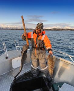 Fotografie z fotogalerie ubytování Vikran Vacation: Sea fishing and Northern Lights v destinaci Vikran