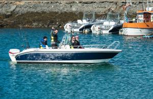 Fotografie z fotogalerie ubytování Vikran Vacation: Sea fishing and Northern Lights v destinaci Vikran