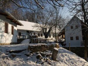 ein Haus mit einem schneebedeckten Hof in der Unterkunft Historický objekt Ailit in Podbranč