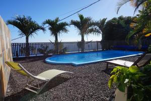 a swimming pool in a yard with chairs and palm trees at Le Bleuet in Saint-Leu
