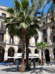 a large palm tree in front of a large building at Roma Reial in Barcelona