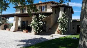 Gallery image of B&B Casa Laura in Montefalco