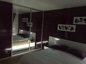 a bedroom with a mirror and a bed in it at Appartement des trois frontières in Apach